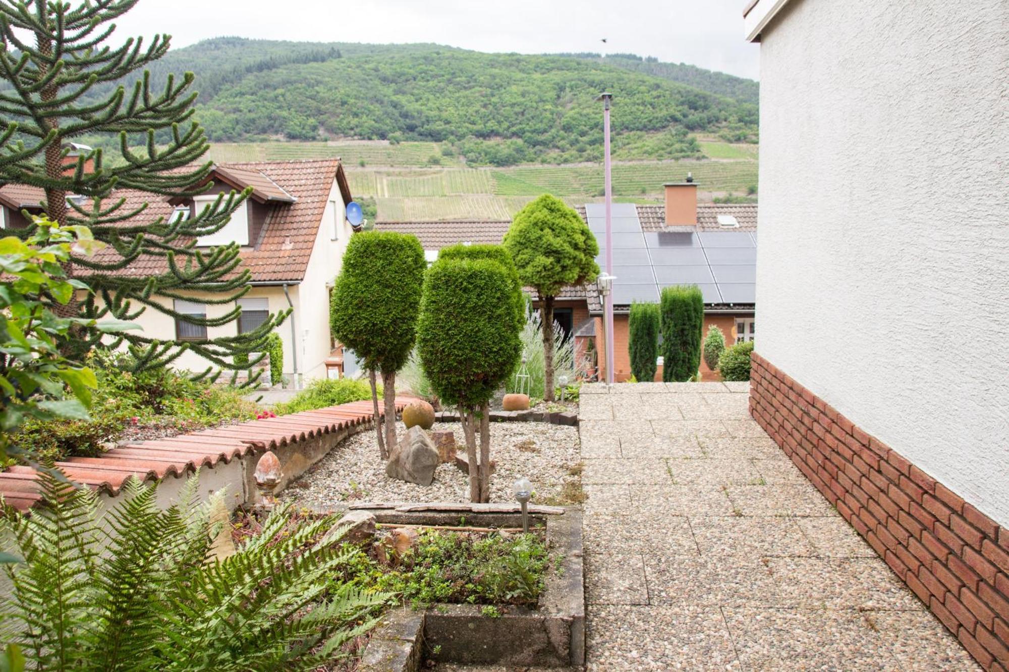 Schoene Ferienwohnung In Der Welterbe Region Trechtingshausen エクステリア 写真